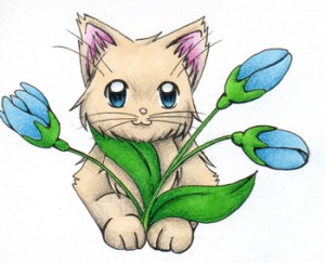 katzen Pflanze